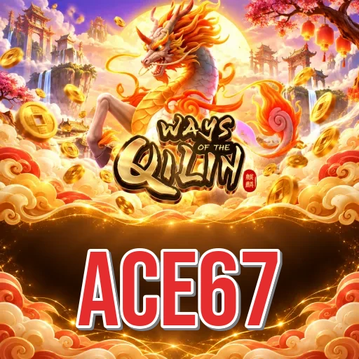 Screenshot 3 - ace67 Settings